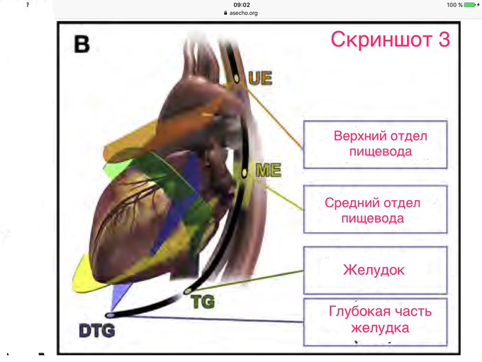 чпэхокг что это и для чего нужно. Смотреть фото чпэхокг что это и для чего нужно. Смотреть картинку чпэхокг что это и для чего нужно. Картинка про чпэхокг что это и для чего нужно. Фото чпэхокг что это и для чего нужно