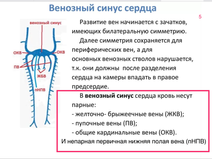 чпэхокг что это и для чего нужно. Смотреть фото чпэхокг что это и для чего нужно. Смотреть картинку чпэхокг что это и для чего нужно. Картинка про чпэхокг что это и для чего нужно. Фото чпэхокг что это и для чего нужно