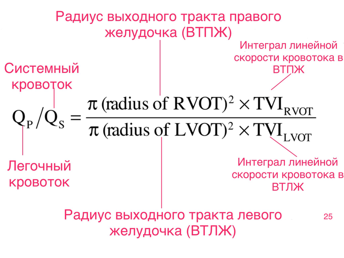 Межпредсердная перегородка истончена что это значит. Смотреть фото Межпредсердная перегородка истончена что это значит. Смотреть картинку Межпредсердная перегородка истончена что это значит. Картинка про Межпредсердная перегородка истончена что это значит. Фото Межпредсердная перегородка истончена что это значит