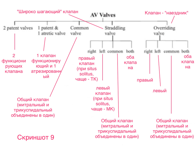 Situs solitus что это. IMG 1039. Situs solitus что это фото. Situs solitus что это-IMG 1039. картинка Situs solitus что это. картинка IMG 1039