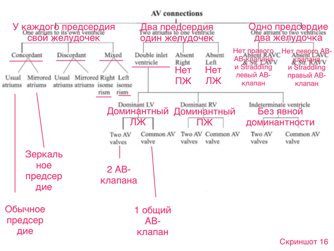 Situs solitus что это. IMG 1087. Situs solitus что это фото. Situs solitus что это-IMG 1087. картинка Situs solitus что это. картинка IMG 1087